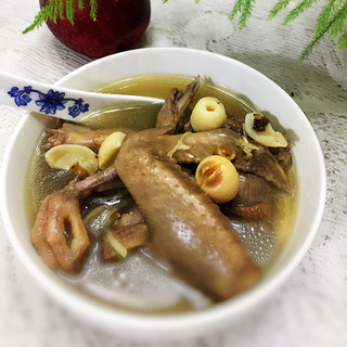 老鸽绿豆汤
