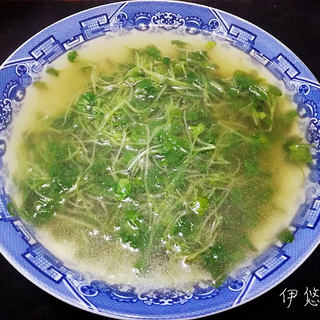 萝卜苗