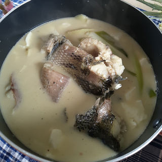 黑鱼豆腐汤