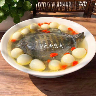 清炖甲鱼汤