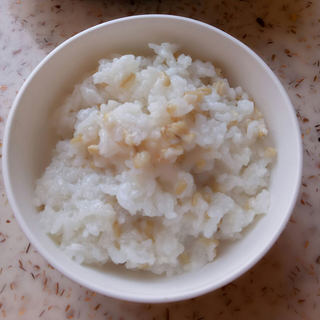 燕麦大米饭