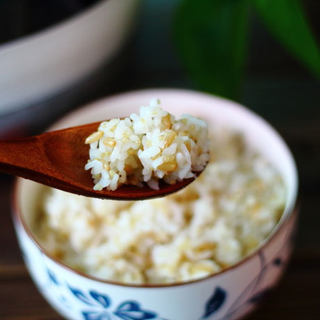 杂粮饭