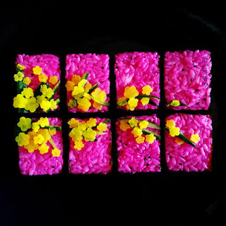花样寿司