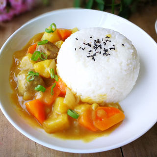 咖喱肉丸盖浇饭