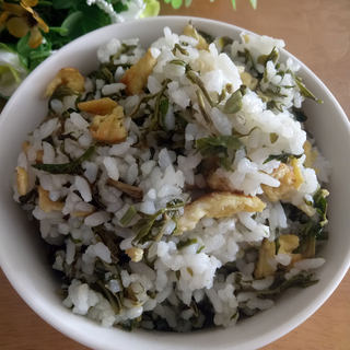 香椿鸡蛋炒饭