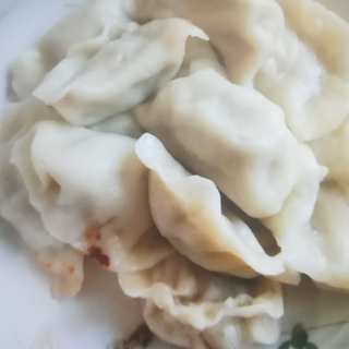大肉娃娃菜虾皮饺子