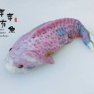 年年有鱼