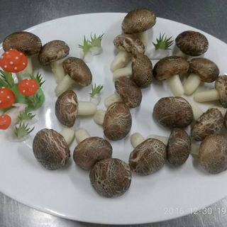 蘑菇包