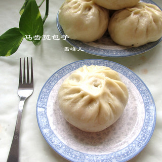 马齿苋肉包子
