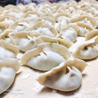 芹菜肉末鸡蛋饺子