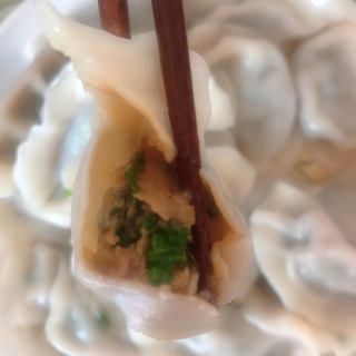 韭菜猪肉饺子