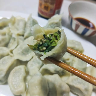 猪肉野菜饺子