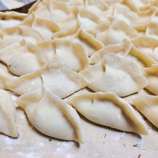 萝卜肉末饺子