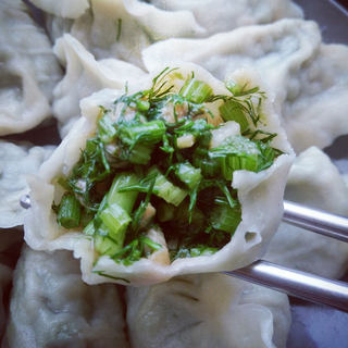 茴香猪肉饺子