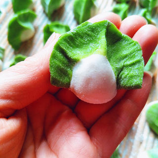 白菜饺子