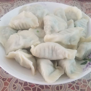 韭菜豆腐饺子