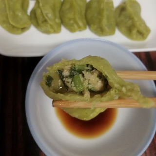 【春季】龙凤斗饺子