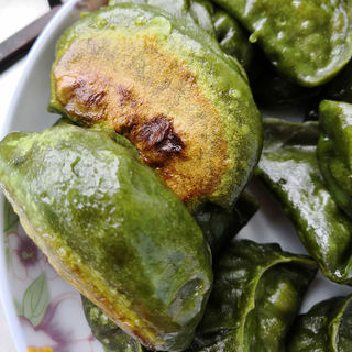 艾香西葫芦素煎饺