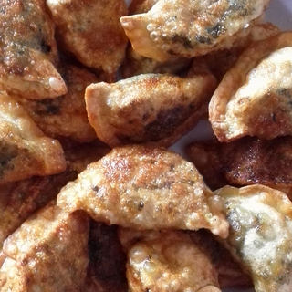 茴香素饺