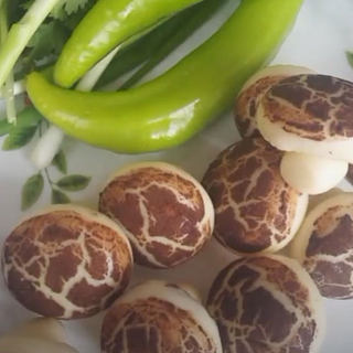 蘑菇包