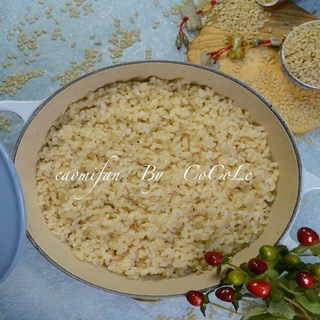 私菜食谱经－－糙米饭【铁铸锅版】