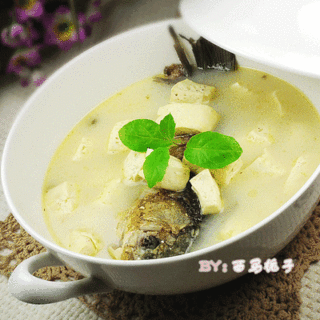 冬季养生最有营养的----鲫鱼豆腐汤