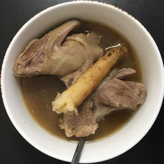 滋补阿胶白鸽猪骨汤