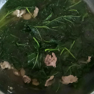 #春季野菜#-桑叶瘦肉汤