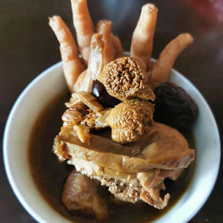 双菌鸡汤