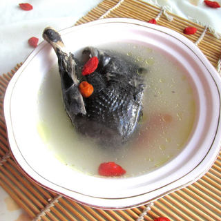 滋补乌鸡汤
