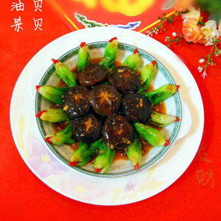 香菇油菜——财源滚滚 吉星高照