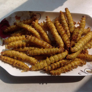 油炸大绿虫子（柞zuò蚕）