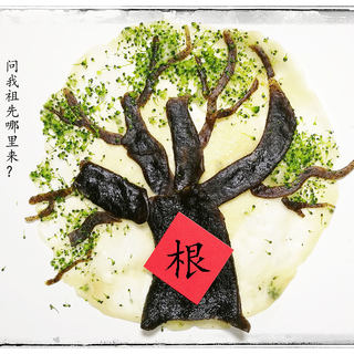 【山西】春款皮之山西洪洞大槐树