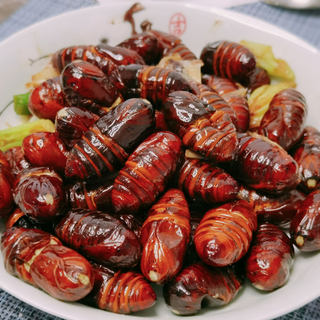 葱烧茧蛹