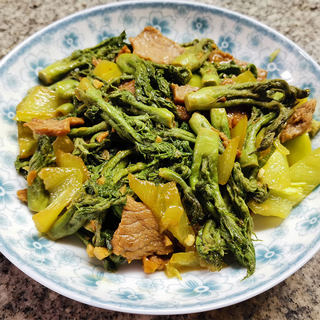 东北野山珍~肉炒刺老芽