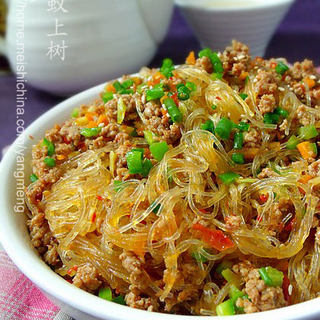 老杨版蚂蚁上树