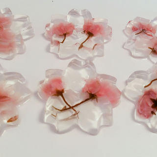 樱花玄信饼