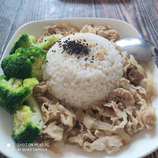 牛肉饭