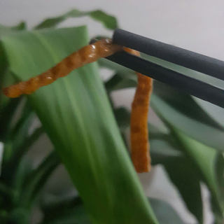 韩式卤味干豆腐丝咸菜