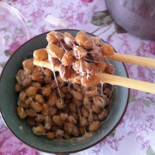 减肥消脂纳豆